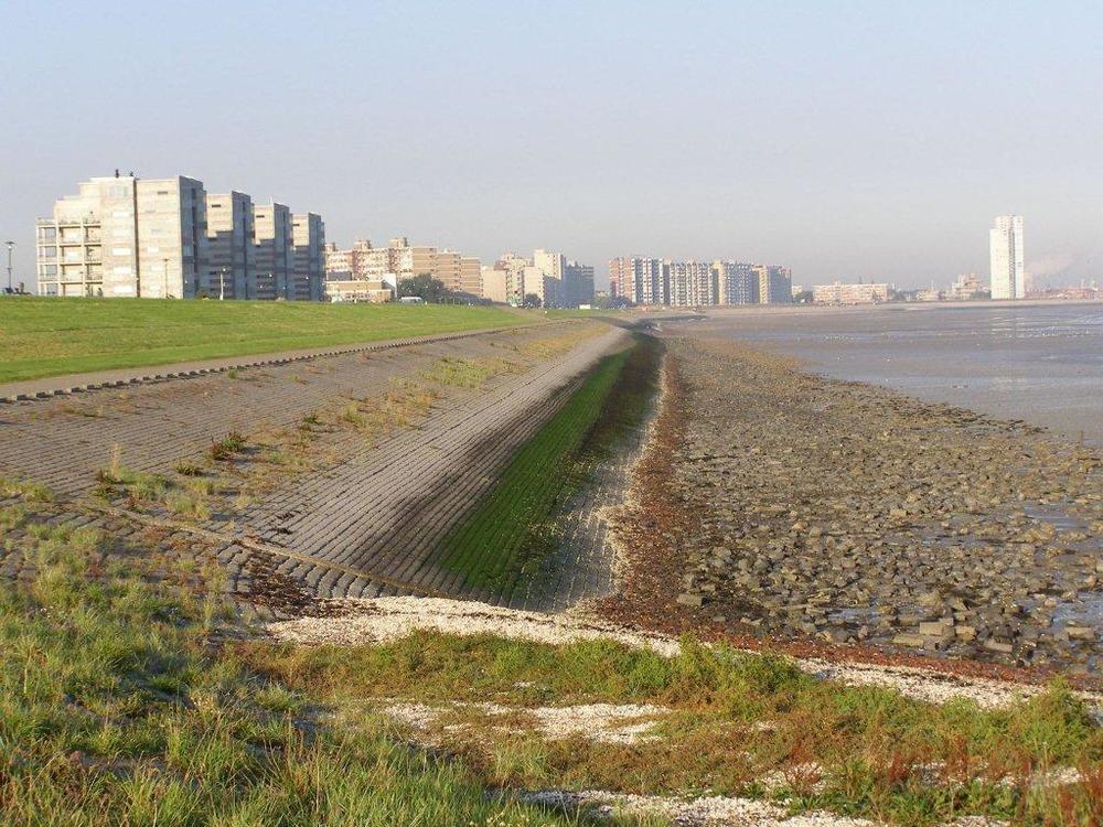 Hotel De Blaauwe Leeuw Terneuzen Eksteriør bilde