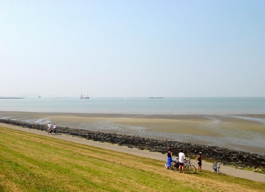 Hotel De Blaauwe Leeuw Terneuzen Eksteriør bilde